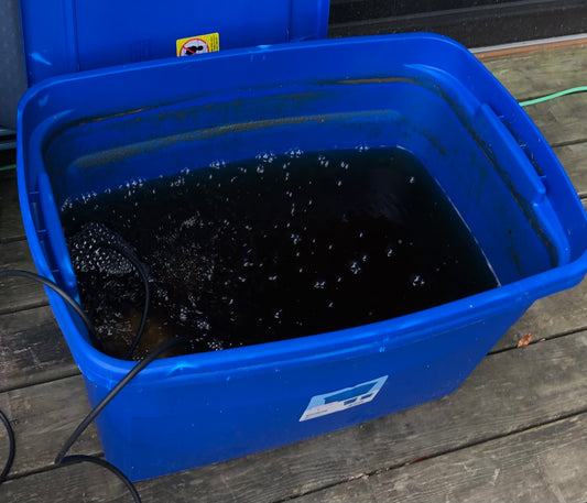 Compost Tea: Good For Your Plants, Good For Your Soil