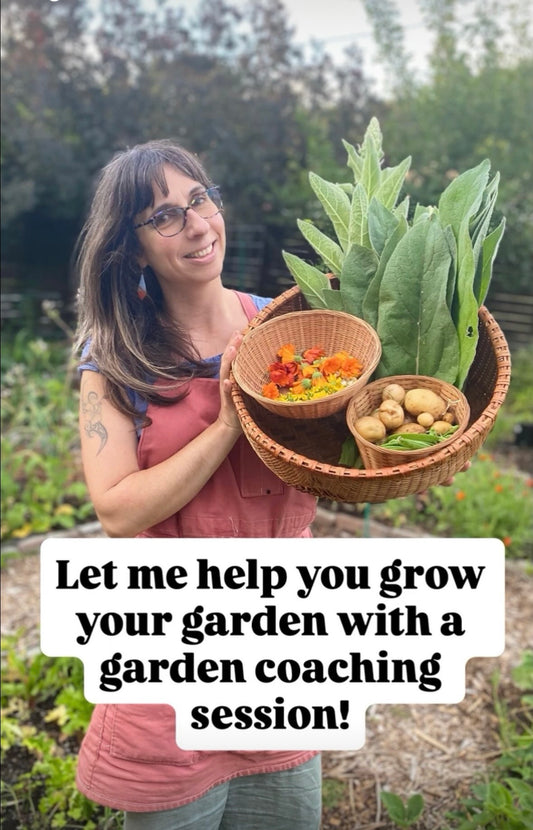 Garden Coaching: Hourly