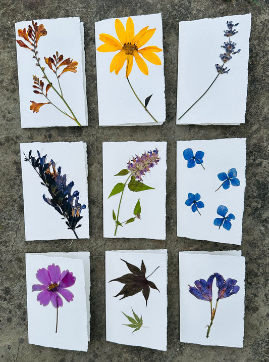 9 Card Stationary Box