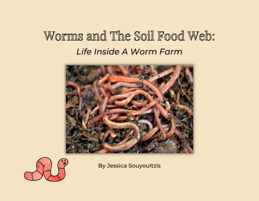 A Children’s Book About Worm Farming (Ages 5-12)