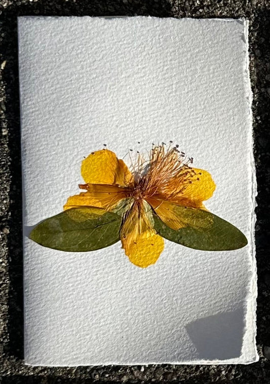 Single Stationary cards