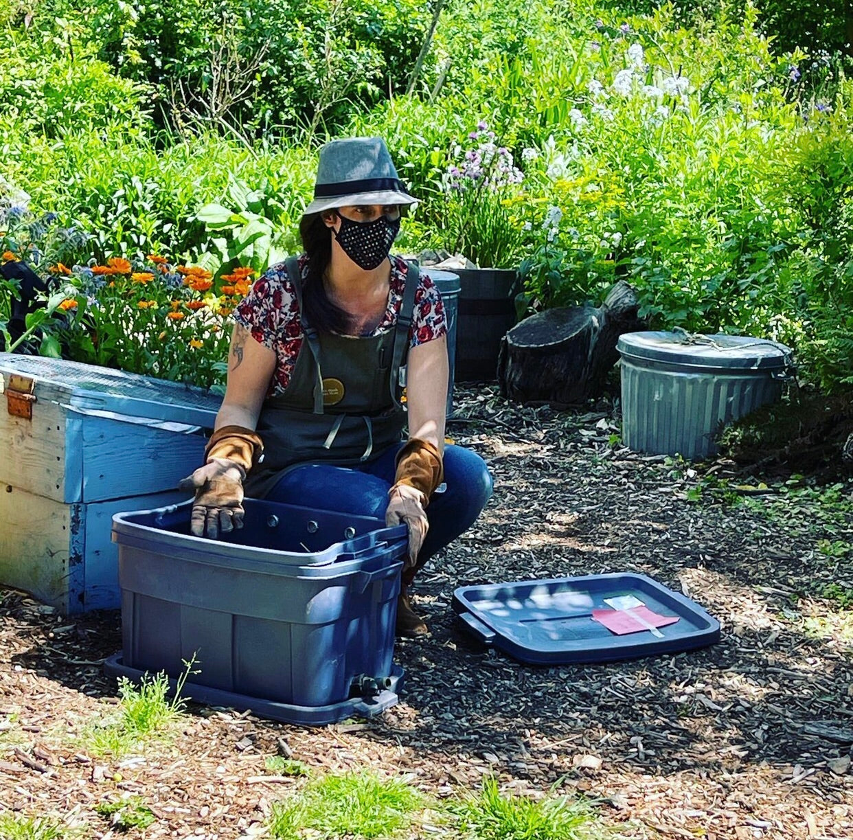 June 10th at 1 PM: Backyard Vermicompost Class