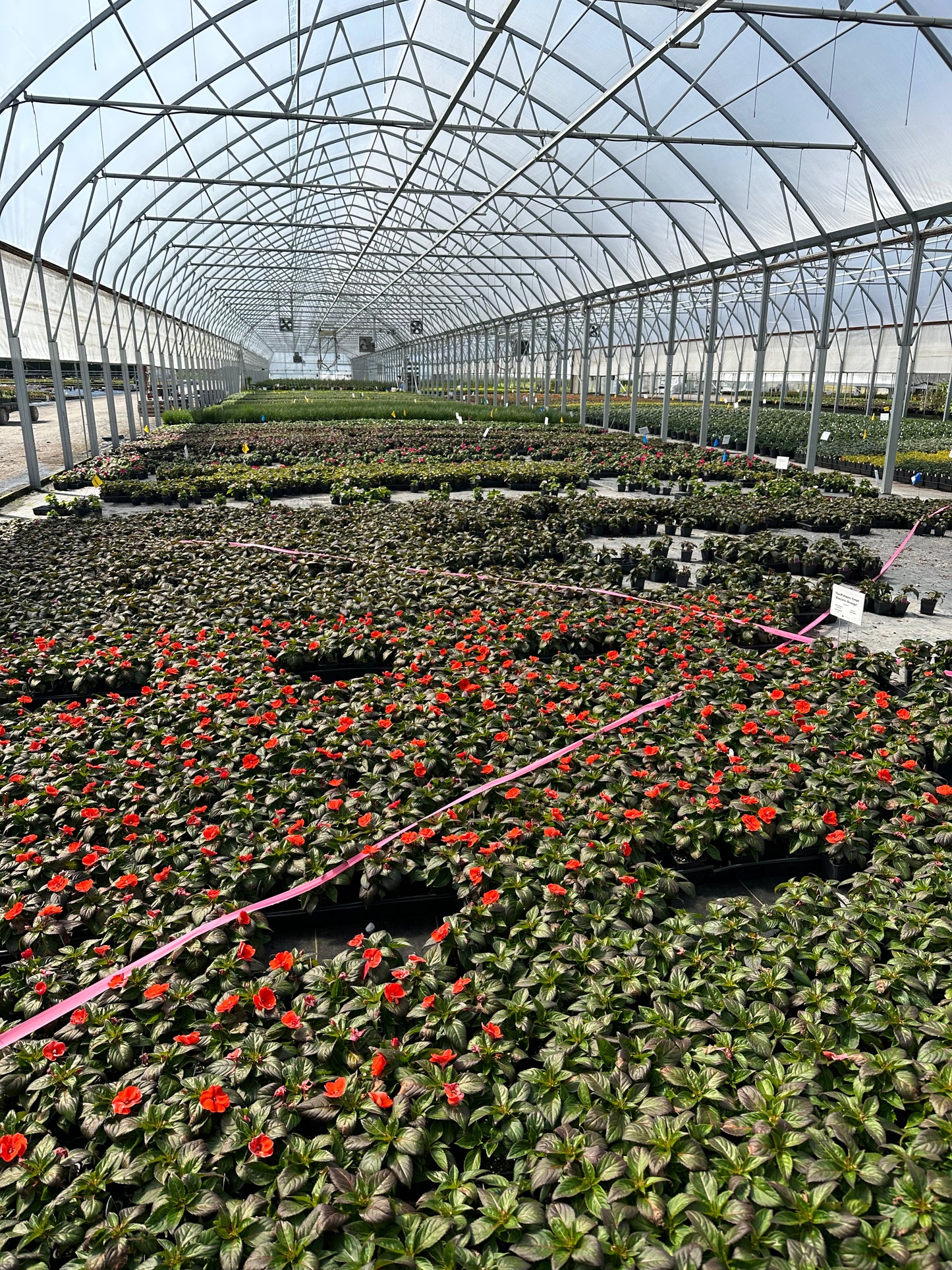 Plant Sourcing and Mobile Nursery Services