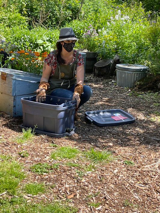Compost Coaching: Hourly