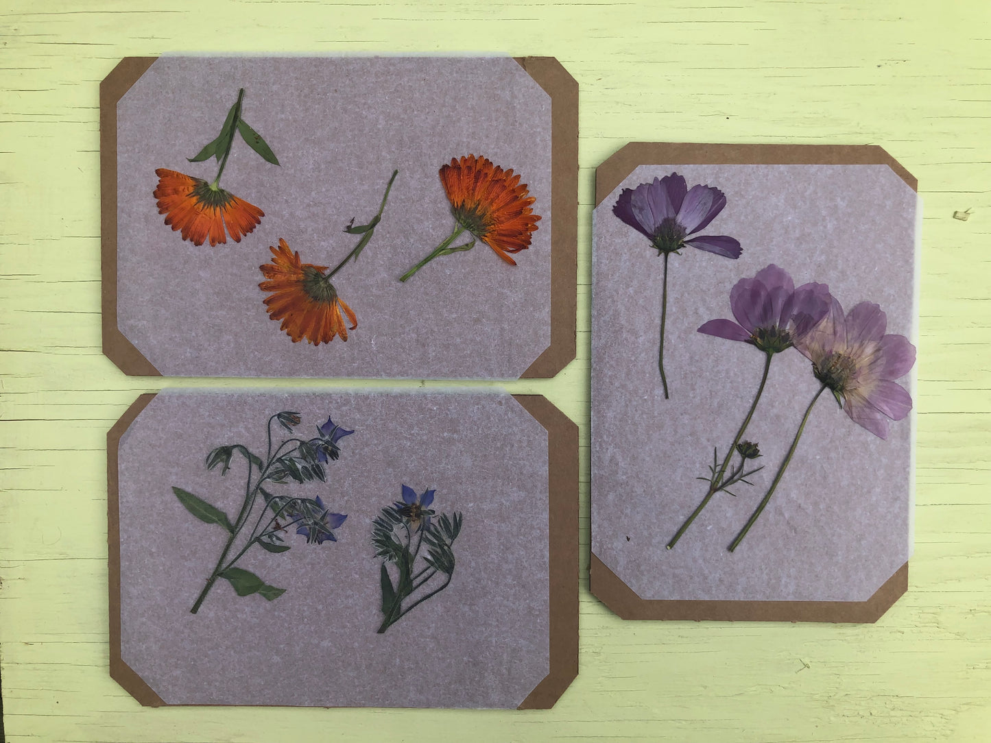 Flower Press