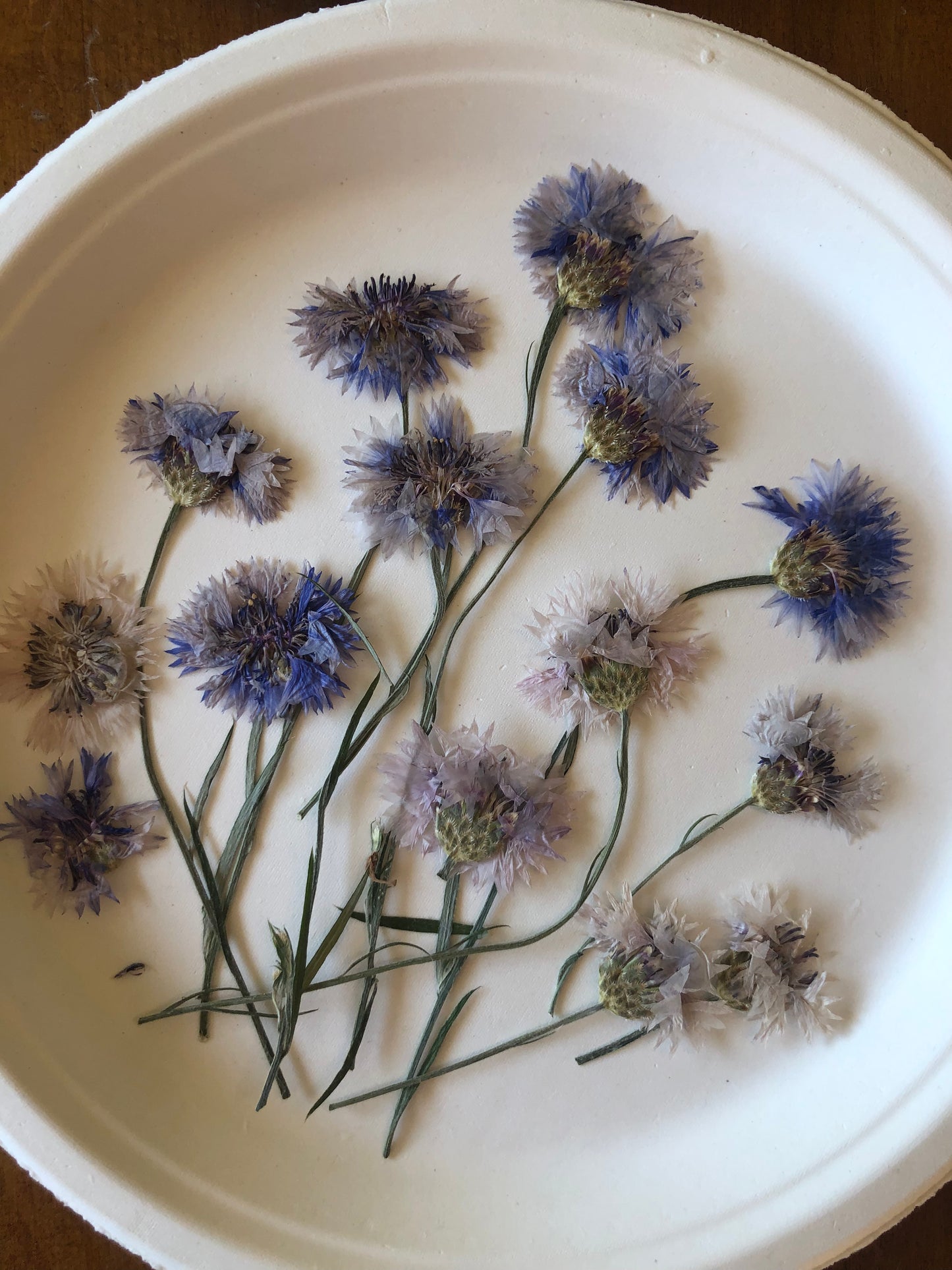 Flower Press