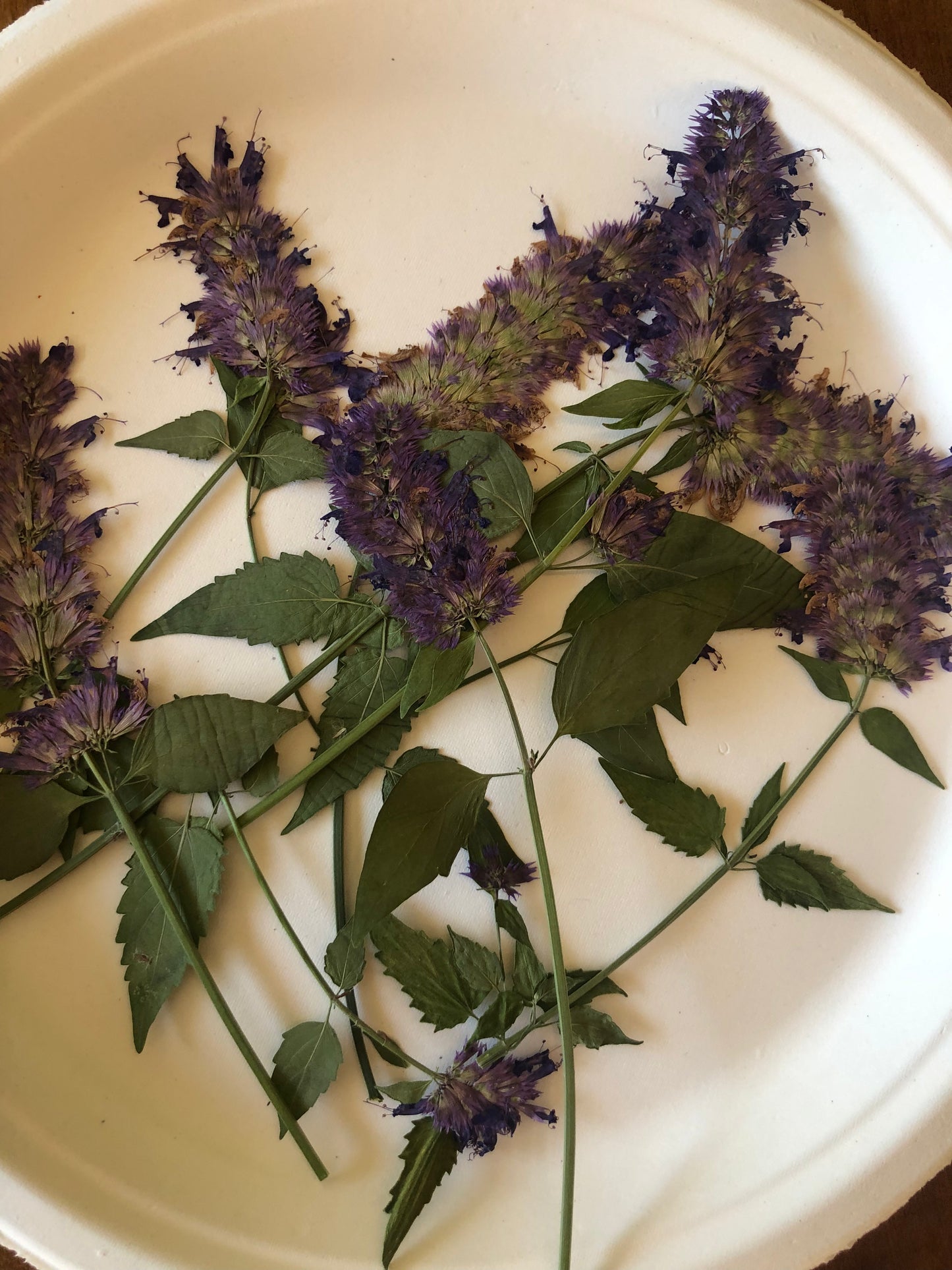 Flower Press