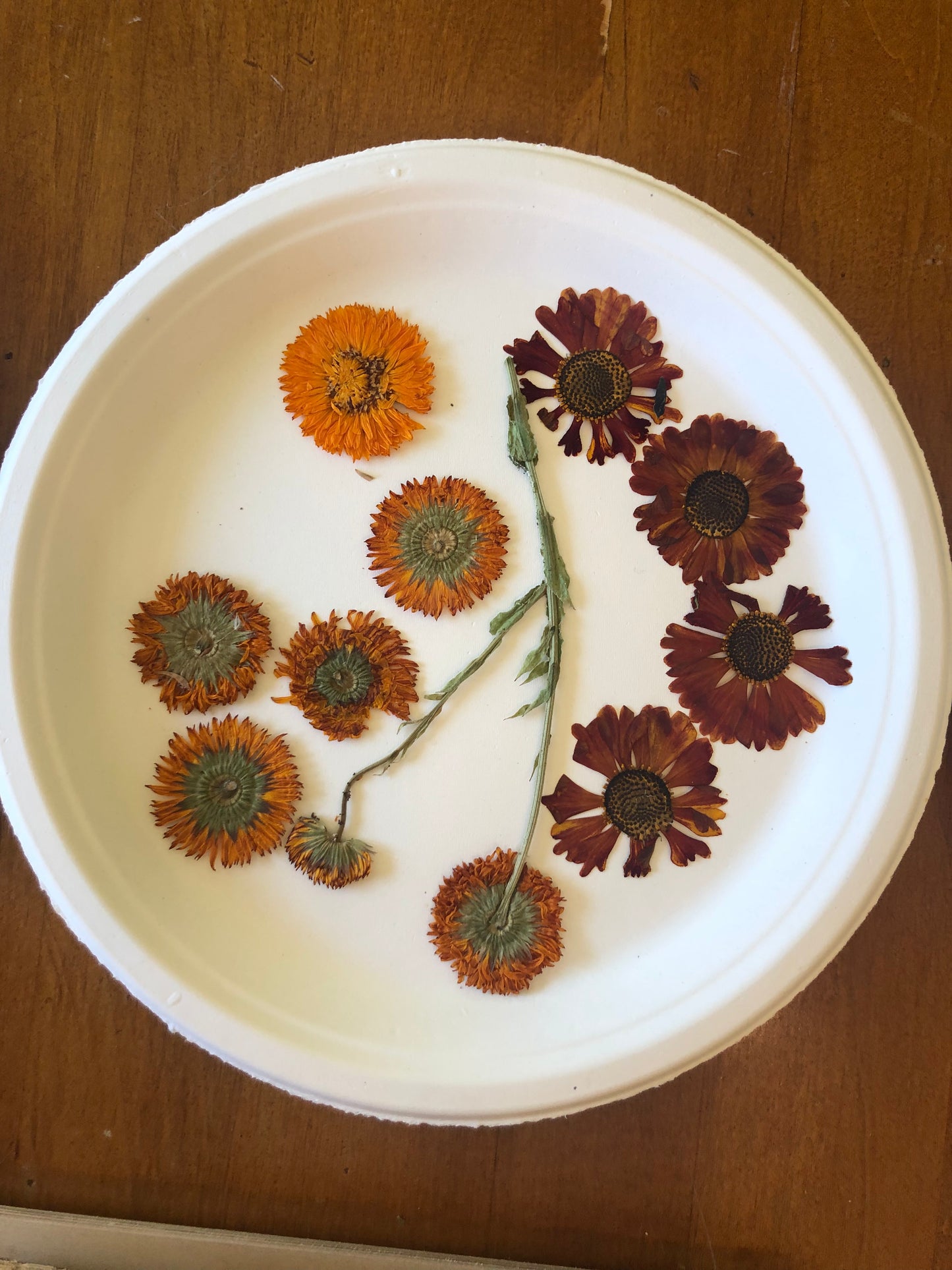 Flower Press