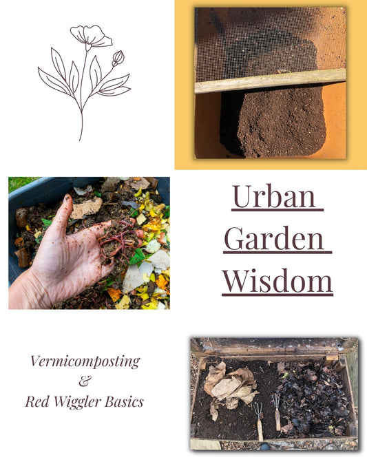Free Guide to Vermicomposting and Red Wiggler Basics