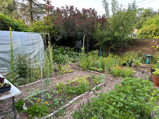 Enhanced Garden Coaching:  90 Minutes plus follow-up notes/plant lists