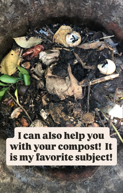 Garden Coaching: Hourly