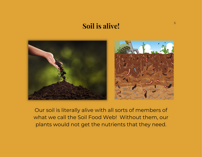 An introduction to soil life for young readers