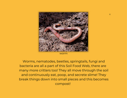 An introduction to soil life for young readers