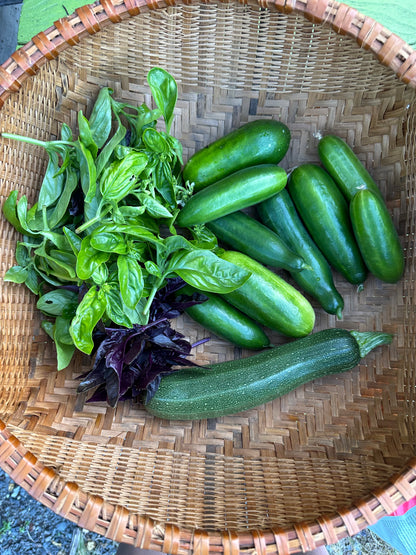 Enhanced Garden Coaching:  90 Minutes plus follow-up notes/plant lists