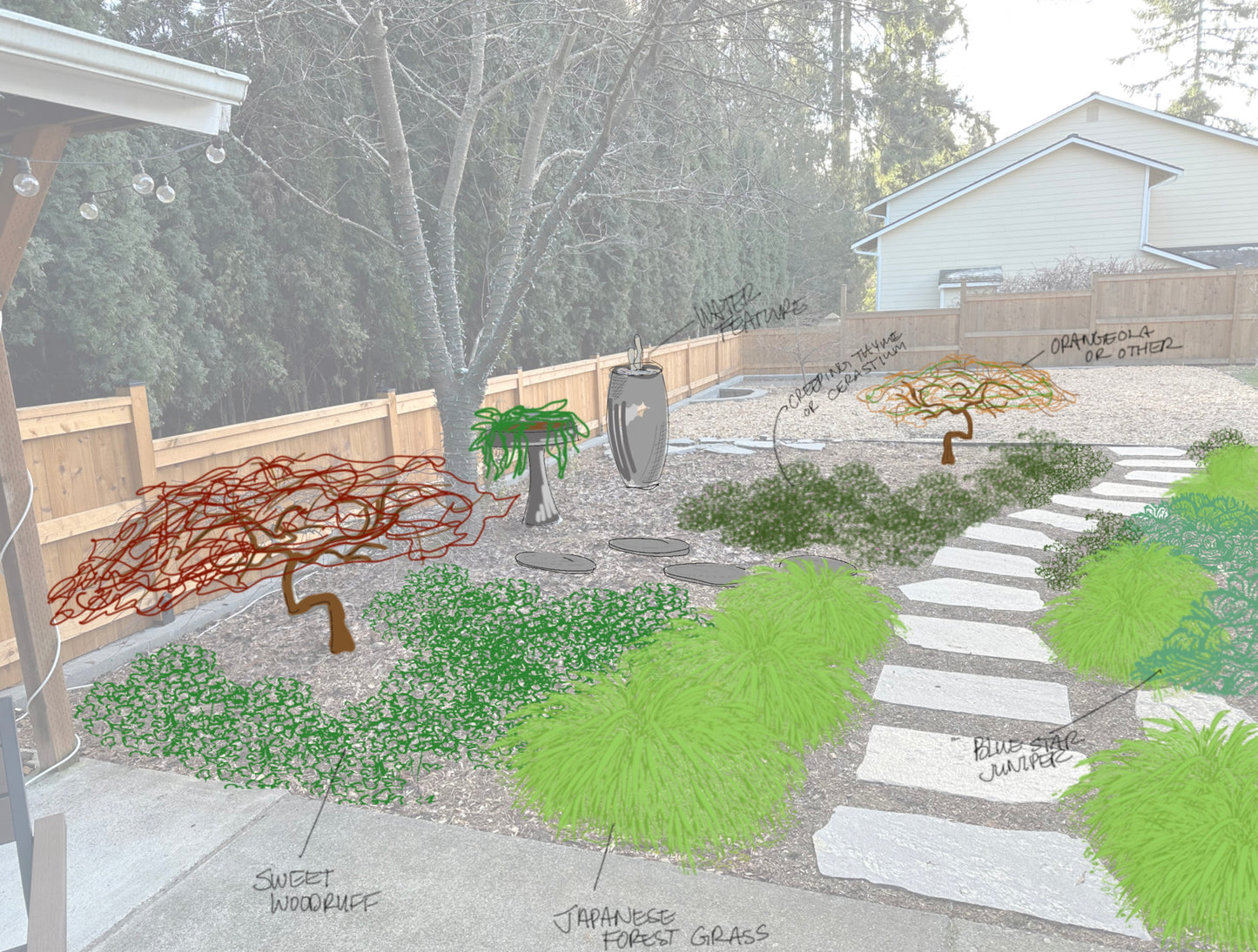 Enhanced Garden Coaching:  90 Minutes plus follow-up notes/plant lists