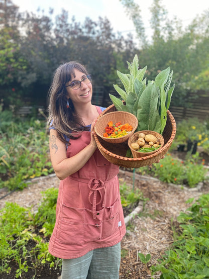 Enhanced Garden Coaching:  90 Minutes plus follow-up notes/plant lists
