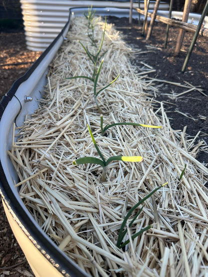 The Gardener's Growth Plan