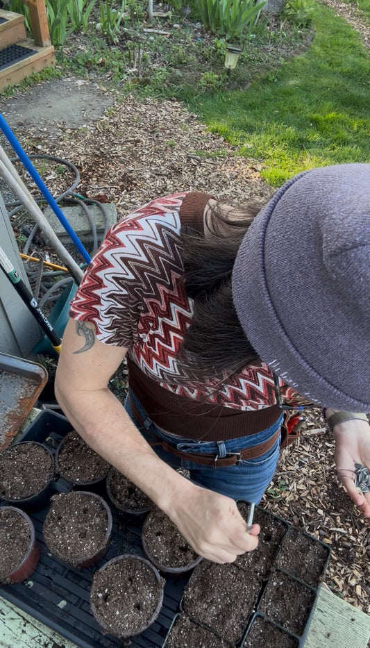 The Gardener's Growth Plan