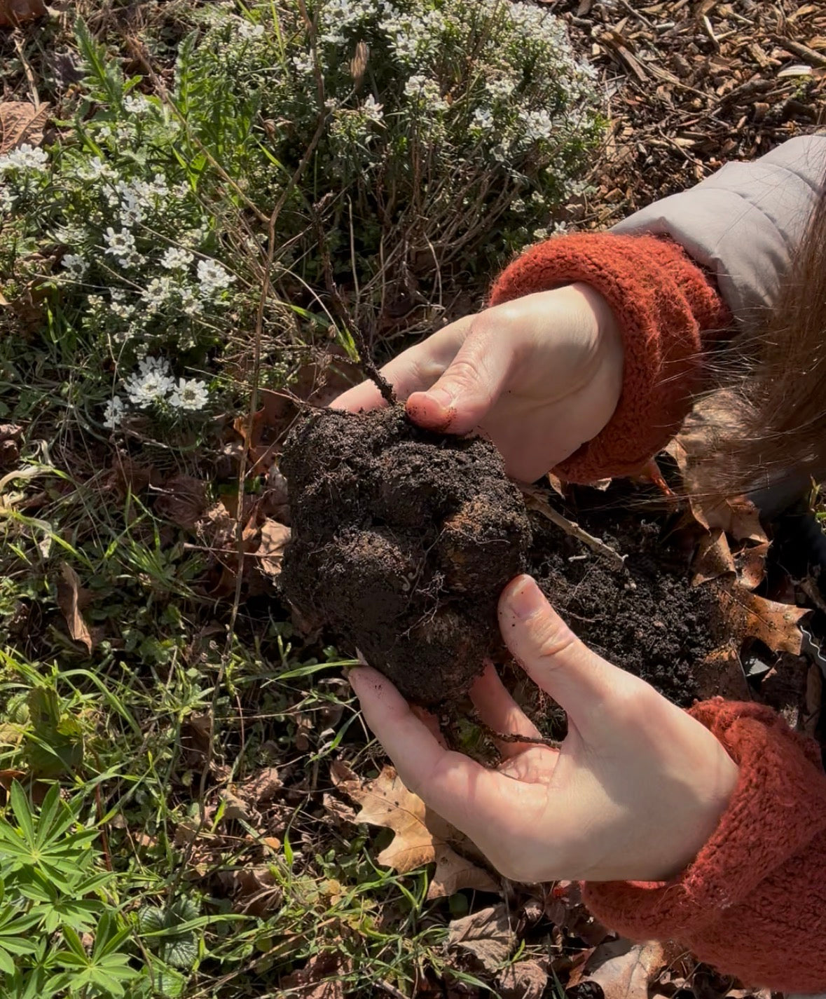 The Gardener's Growth Plan