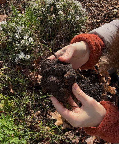 The Gardener's Growth Plan