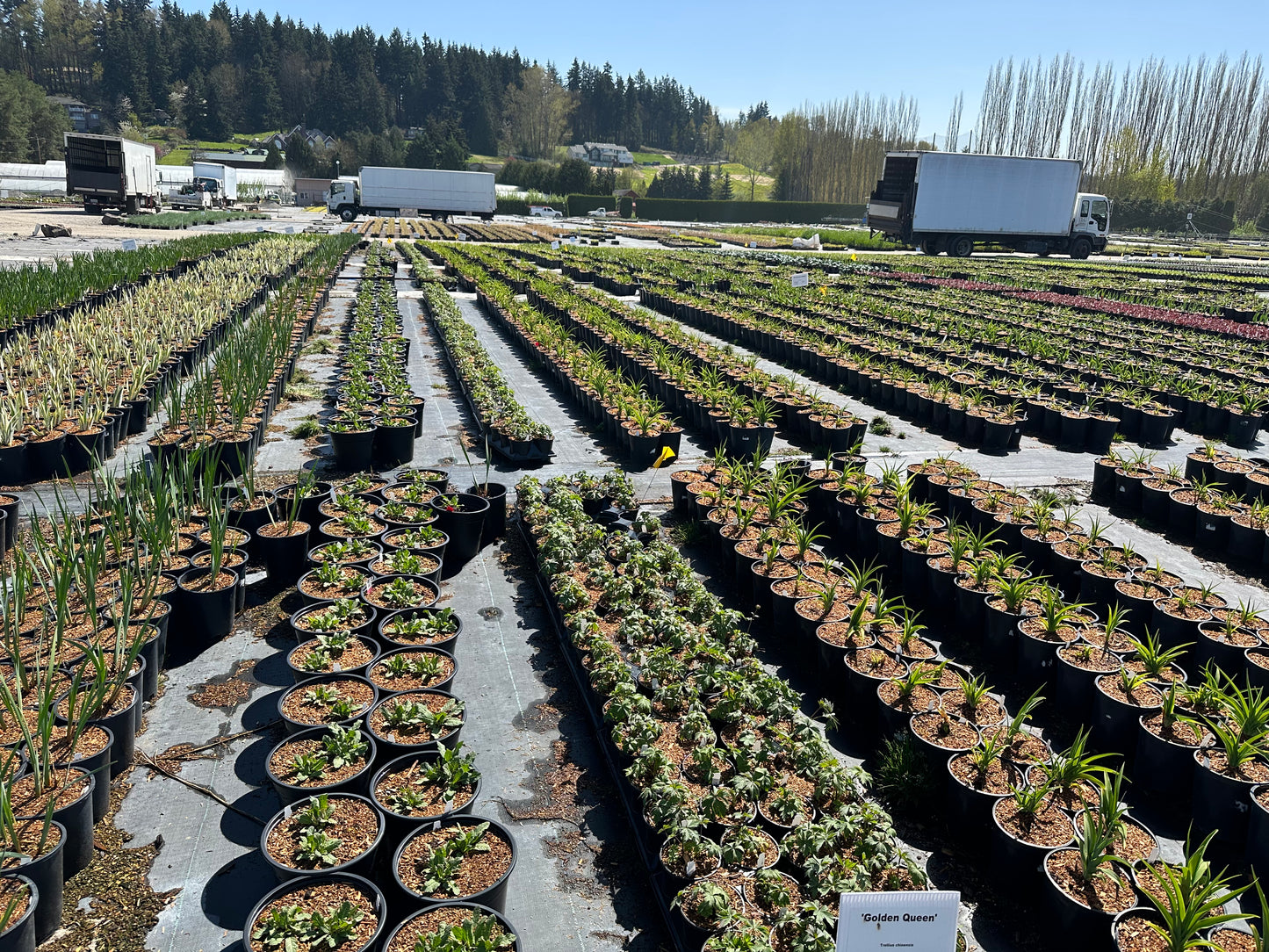 Plant Sourcing and Mobile Nursery Services