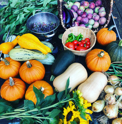 Garden Coaching: Hourly