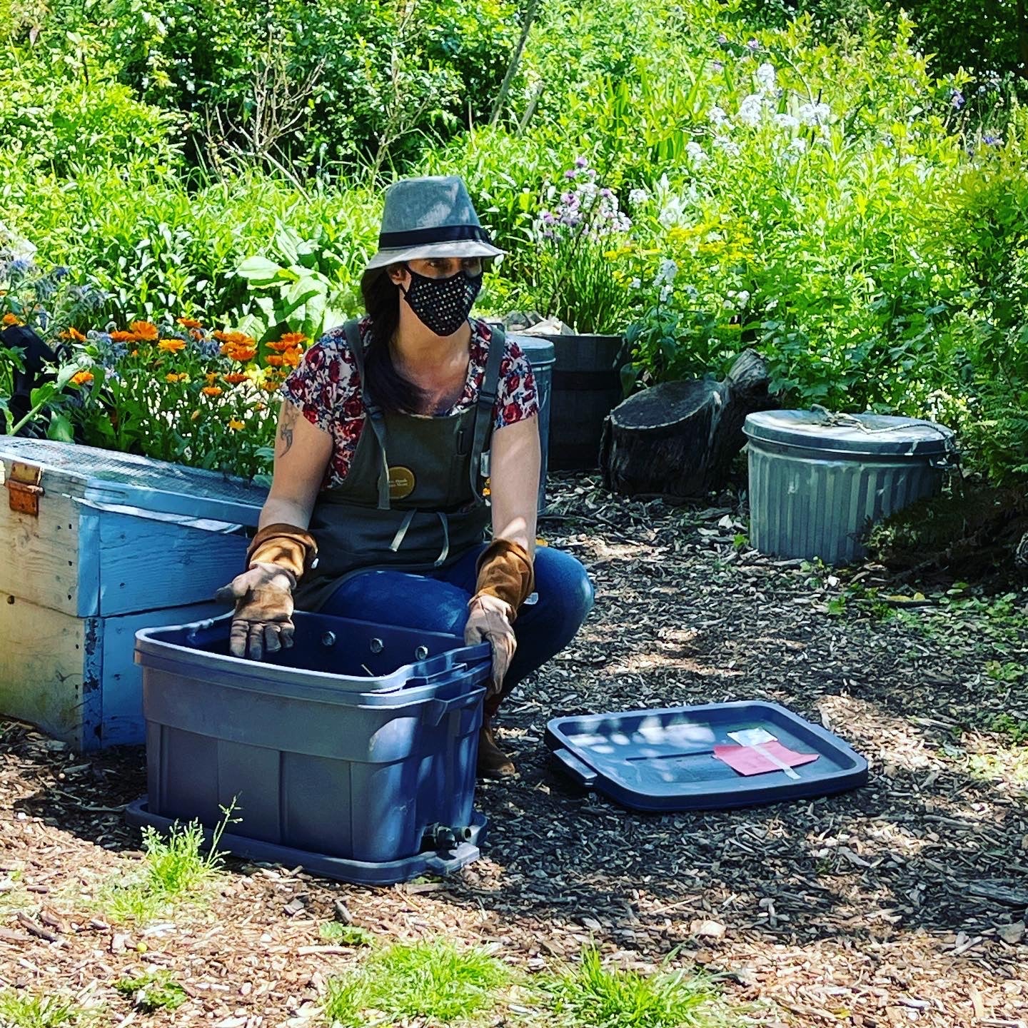 Personalized Composting/Vermicomposting Class for Your Community Garden/School