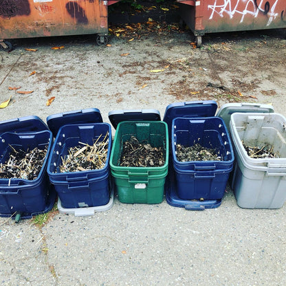 Compost Coaching: Hourly