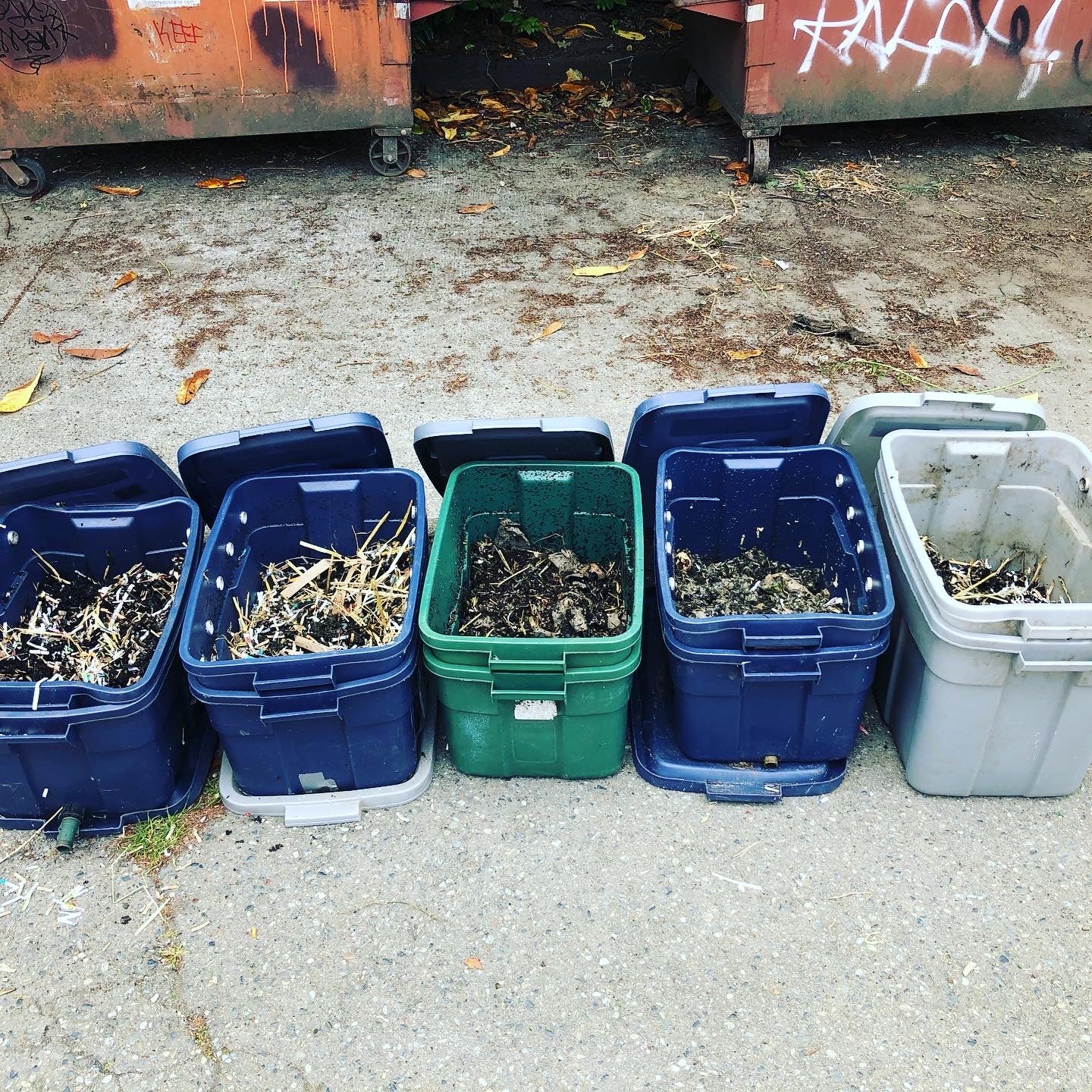 Personalized Composting/Vermicomposting Class for Your Community Garden/School