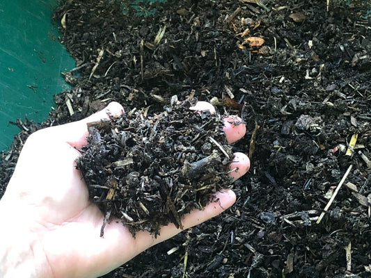 Personalized Composting/Vermicomposting Class for Your Community Garden/School