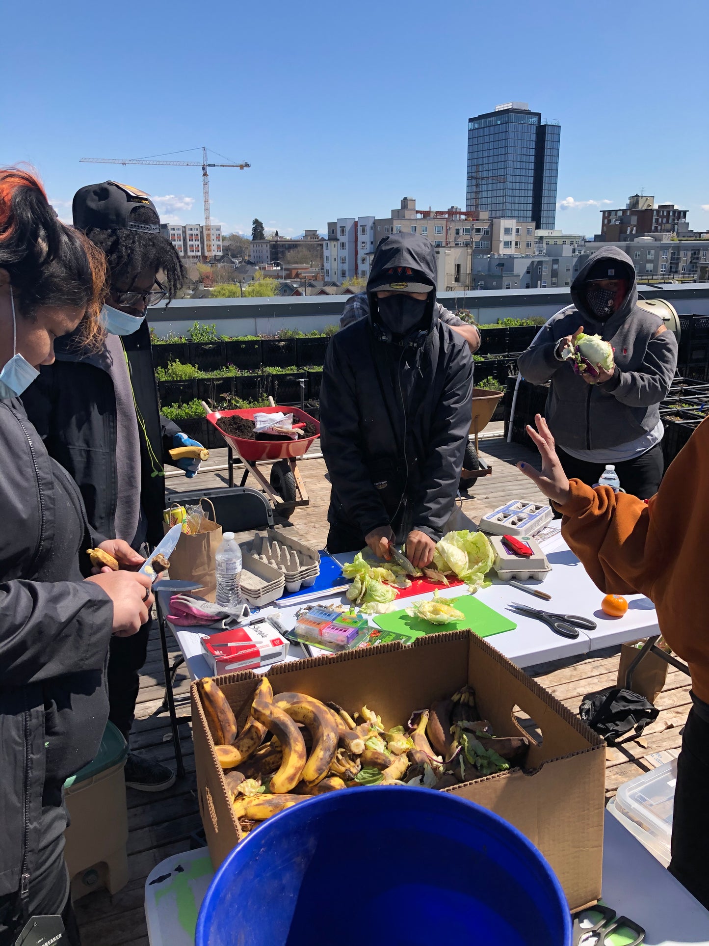 Personalized Composting/Vermicomposting Class for Your Community Garden/School