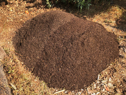 Compost Coaching: Hourly