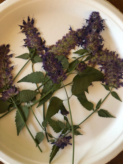 Flower Press