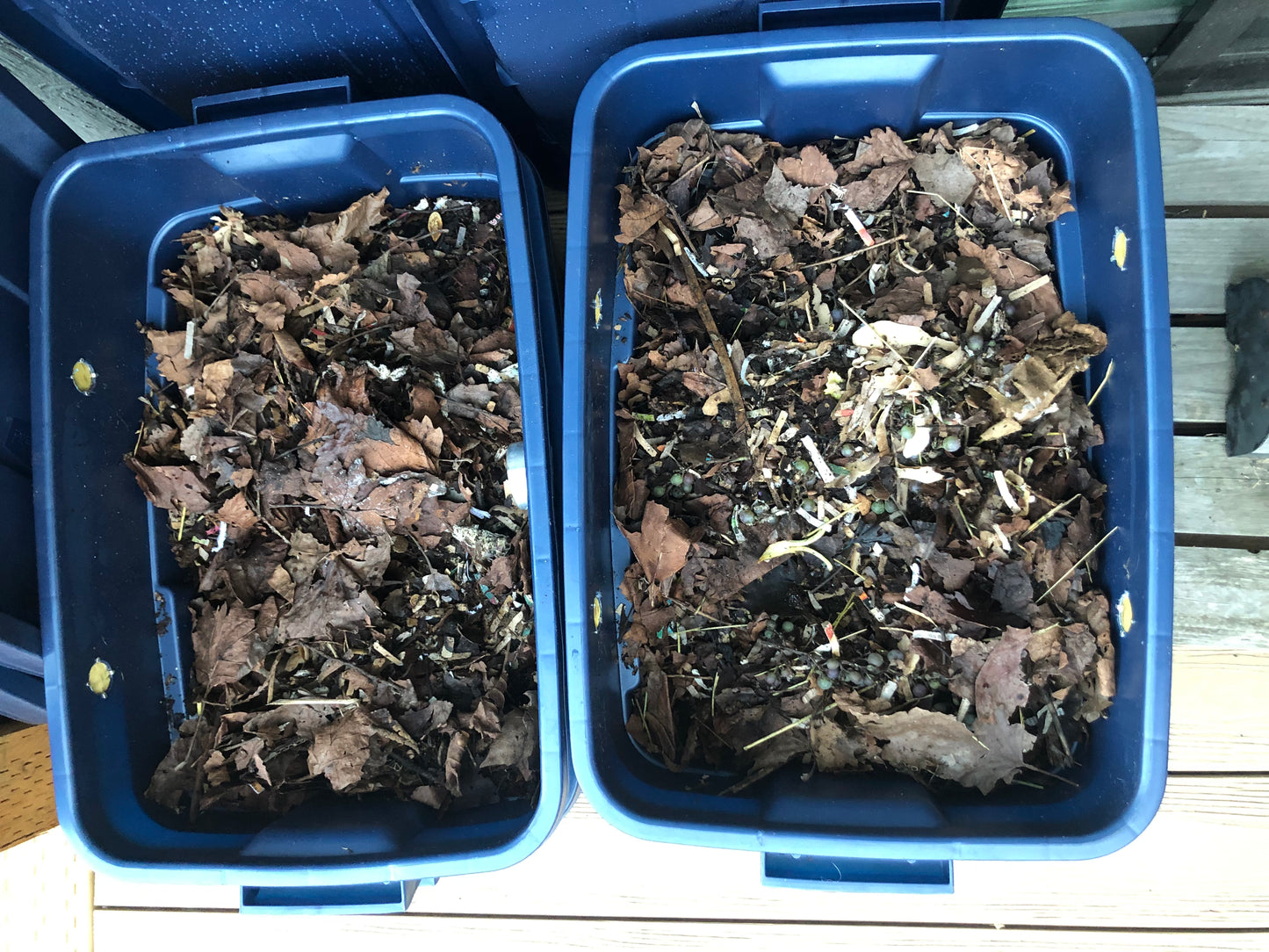 Personalized Composting/Vermicomposting Class for Your Community Garden/School